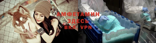 гашик Дмитровск