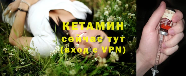 гашик Дмитровск