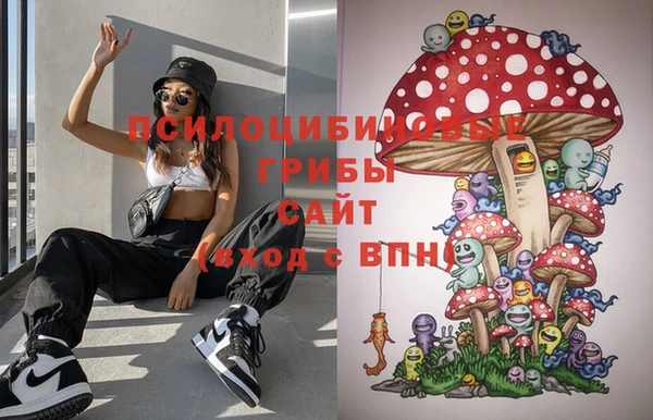 скорость Дмитриев